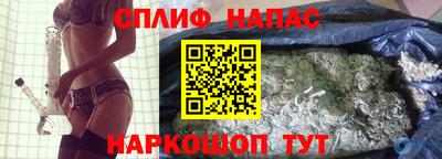 прущие грибы Будённовск