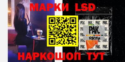прущие грибы Будённовск