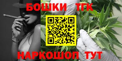 прущие грибы Будённовск