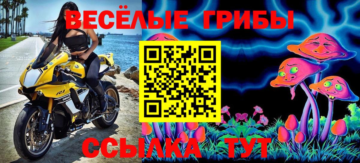 Галлюциногенные грибы Magic Shrooms Лысьва