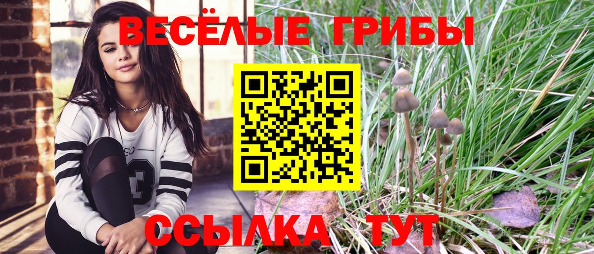 Лысьва  Псилоцибиновые грибы прущие грибы  Вход с VPN 